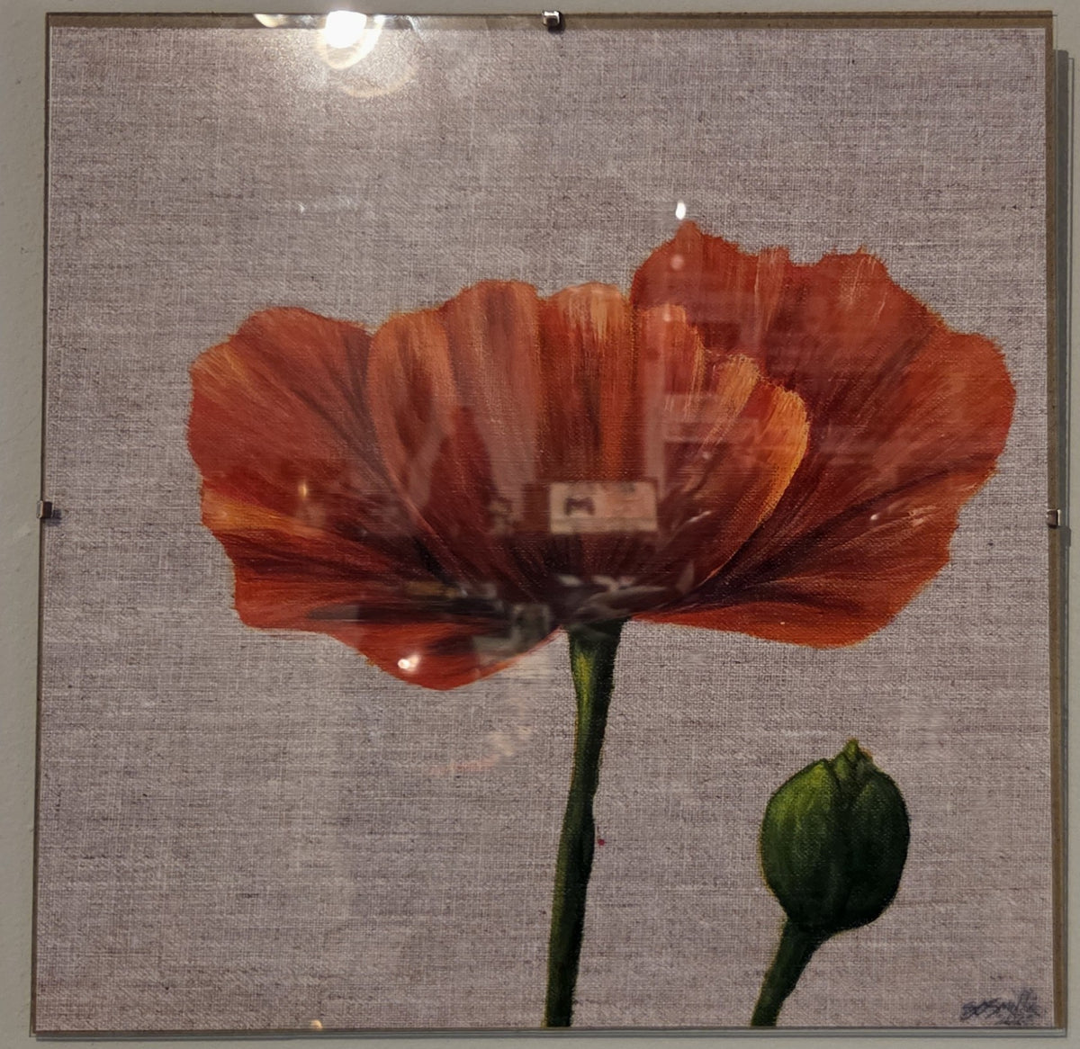Large 12x12 Poppy Glass Framed Print