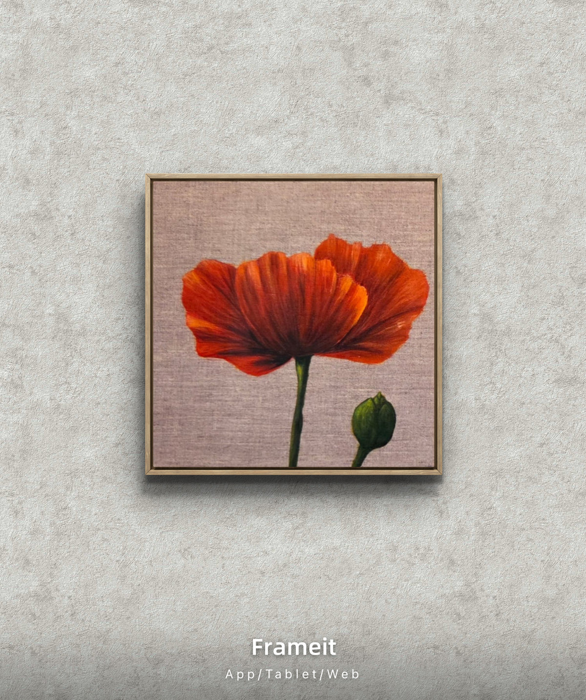 Framed Poppy