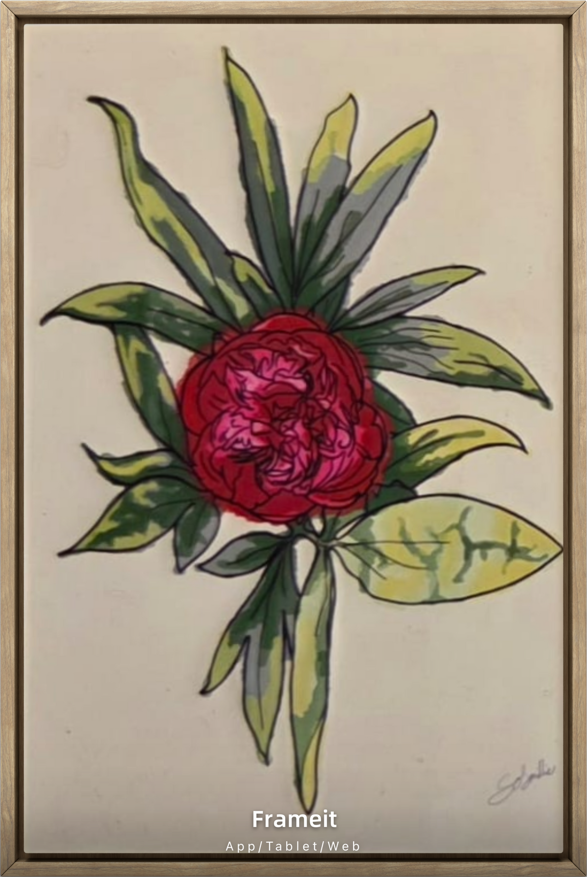 Peony Digital Drawing A6 Photo Paper