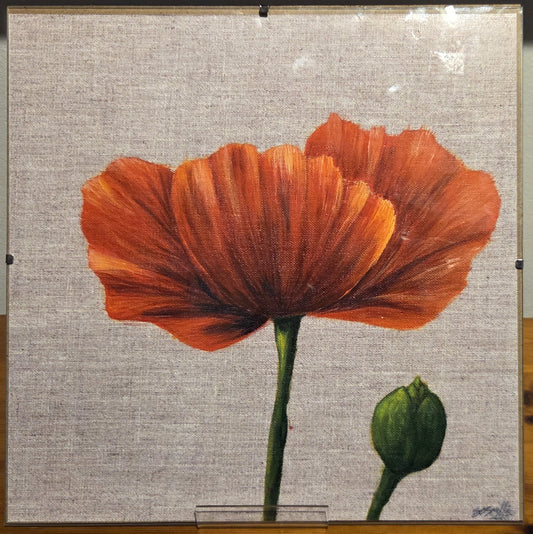 Large 12x12 Poppy Glass Framed Print