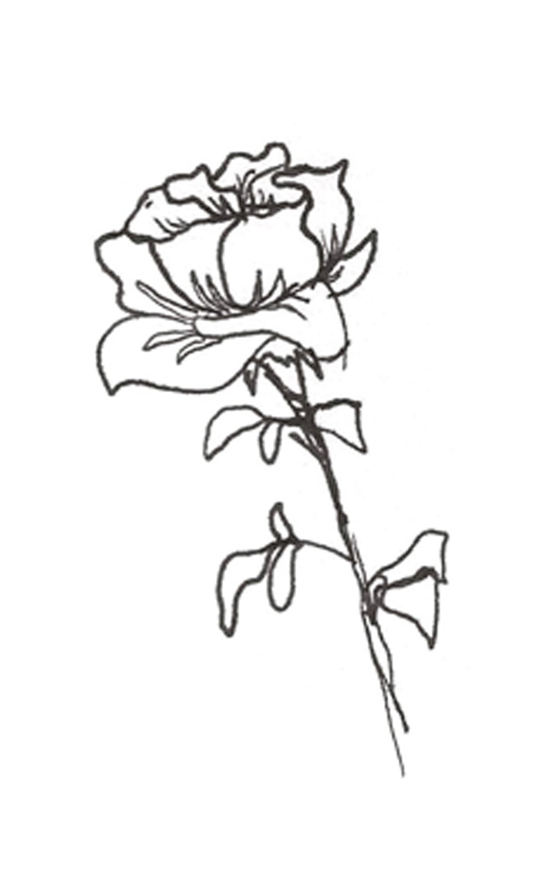 'Black-White-Line-Rose' Photo paper