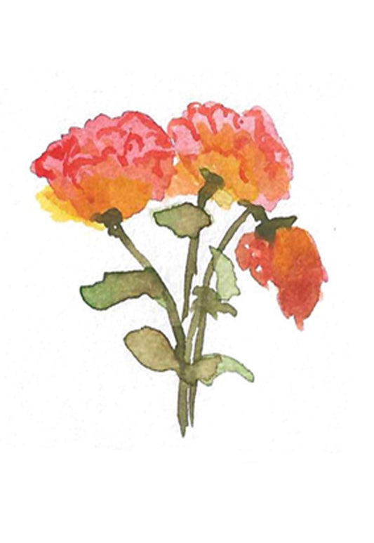 Orange-Pink Rose A5 photo paper