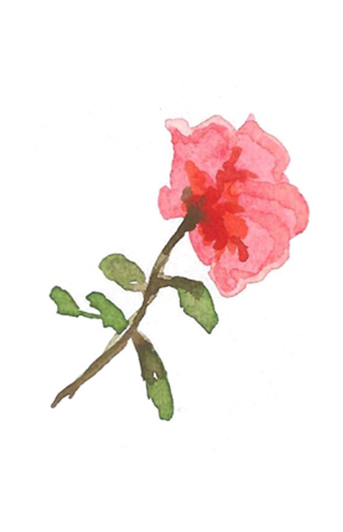 Single Rose Flower Card