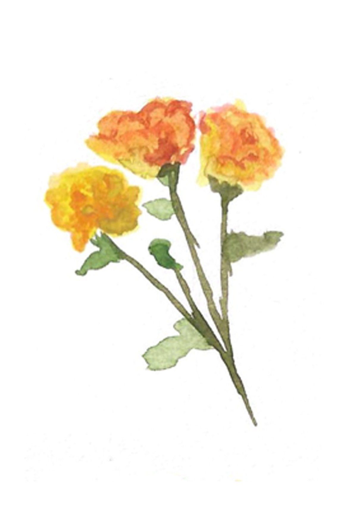 'Yellow-Orange-Roses' Photo Paper