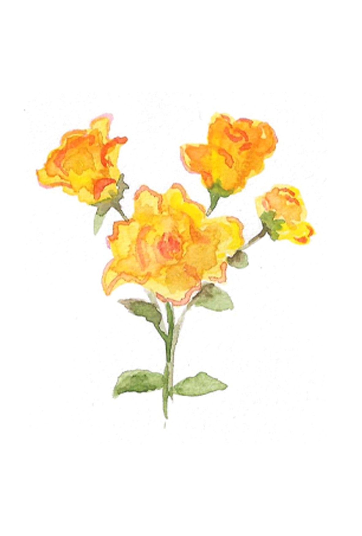 'Yellow Rose' Photo paper