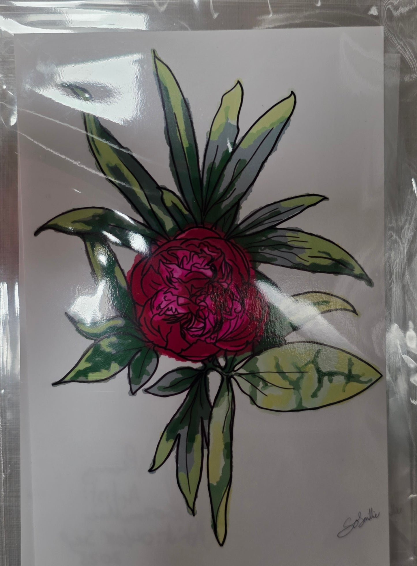 Peony Digital Drawing A6 Photo Paper