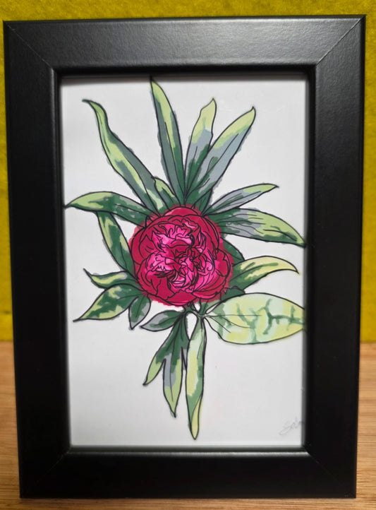 Peony Digital Drawing A6 Photo Paper